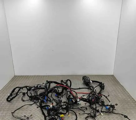 Maserati Ghibli Other wiring loom 06700332220 670006554