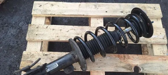 Opel Antara Front shock absorber with coil spring 