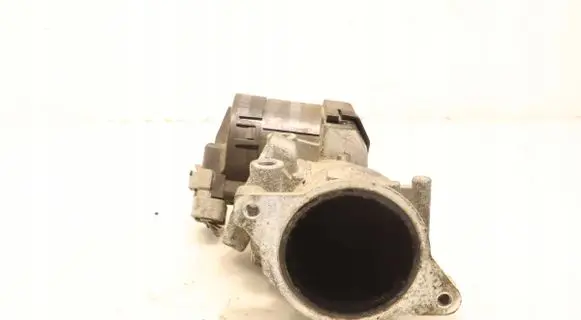 EGR valve