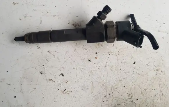 Renault Megane II Fuel injector 0445110110B