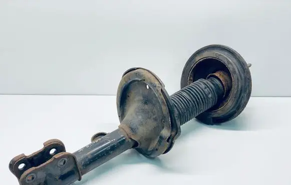 Hyundai Santa Fe Front shock absorber/damper 5466023200 546102B100