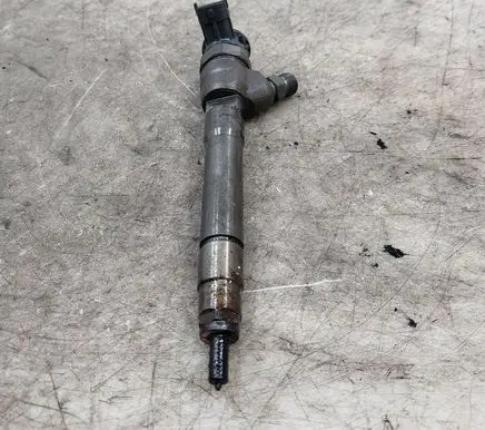 Nissan Qashqai Fuel injector H1055367 0445110414