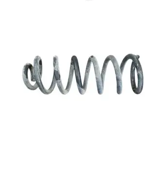 Rear coil spring