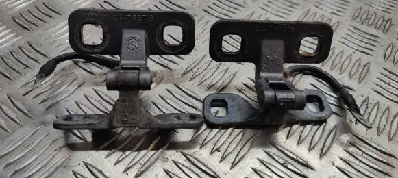 Tailgate/trunk/boot hinge