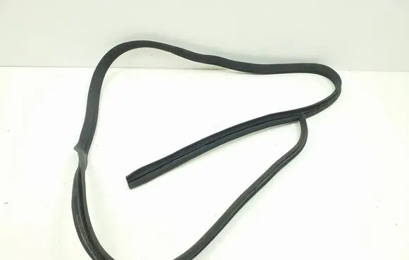 Rear door rubber seal (on body)