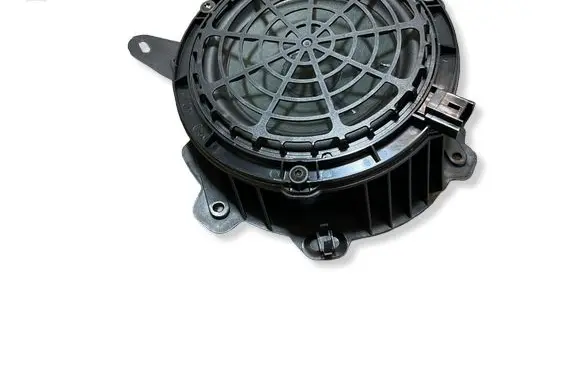 Opel Corsa F Front door speaker 9818747880