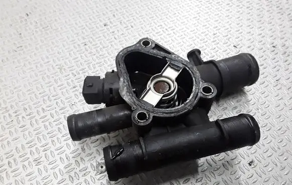 Thermostat/thermostat housing