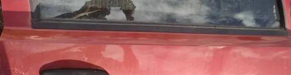 Fiat Punto (188) Front door glass trim molding 