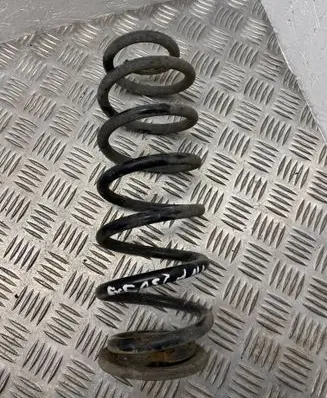 Volkswagen PASSAT B6 Rear coil spring