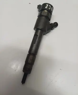 Suzuki Grand Vitara II Fuel injector 0445110230