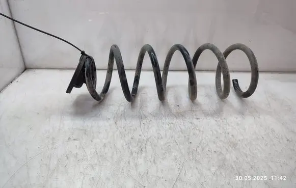 Rear coil spring