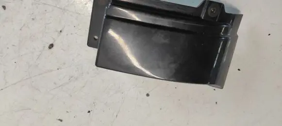 Rear/tail light trim molding