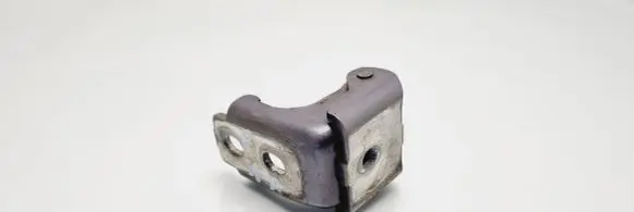 Renault Megane III Front door lower hinge 