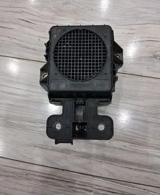 Renault Zoe Front door speaker 256A84676R