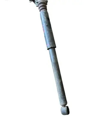 Mazda CX-3 Rear shock absorber/damper d10e28015