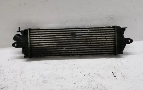 Renault Trafic II (X83) Intercooler radiator 93854162