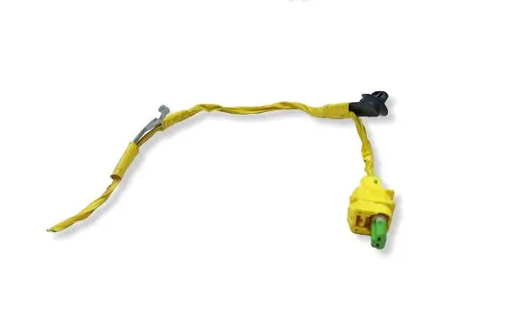 Hyundai Ioniq 5 Other wiring loom 