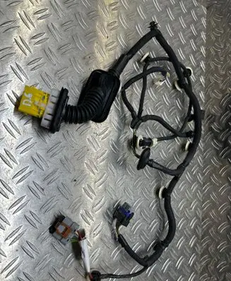 Peugeot 208 II Rear door wiring loom 9834129780 DR7000