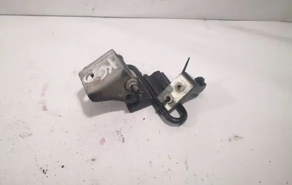 Audi A6 S6 C6 4F Rear door hinge set 8E0833411