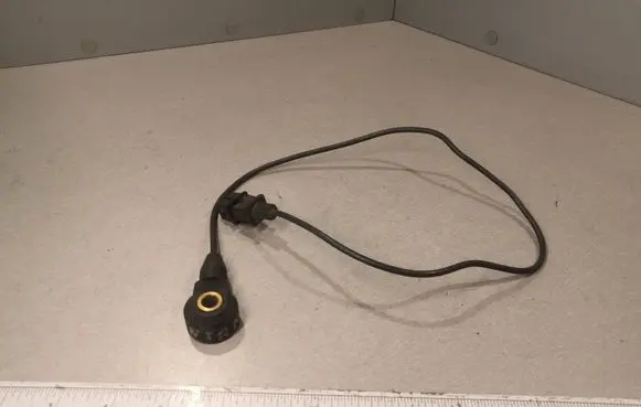 Opel Sintra Detonation knock sensor 0261231079