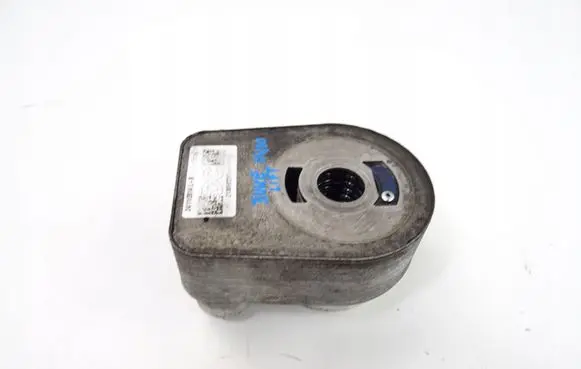 Nissan Juke I F15 Engine oil radiator 213059324R