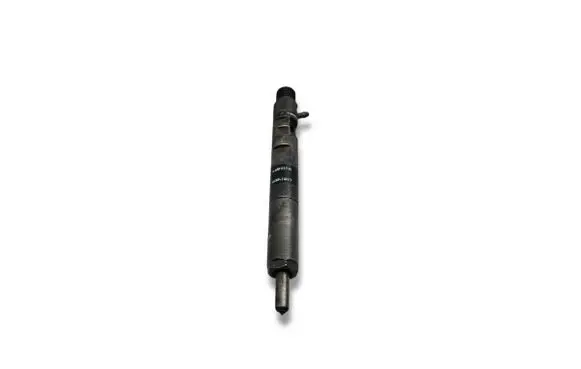 Renault Kangoo II Fuel injector 28232251 166001137R
