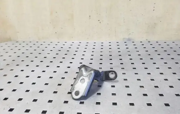 Hyundai ix35 Front door lower hinge 