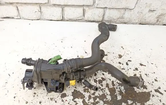 Thermostat/thermostat housing