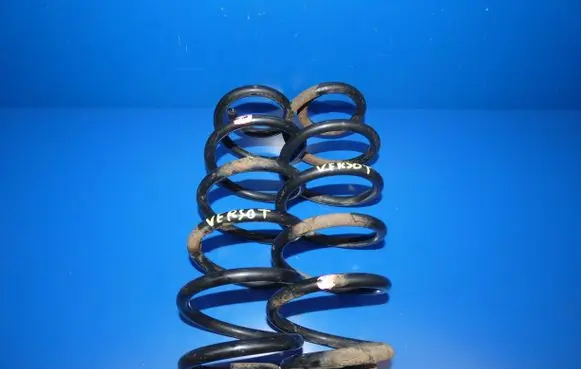 Rear coil spring