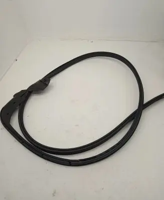 BMW M6 Rubber seal rear door 7275304