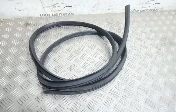 Mitsubishi Lancer VIII Rear door rubber seal (on body) 