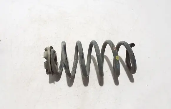 Rear coil spring