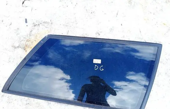Rear side window