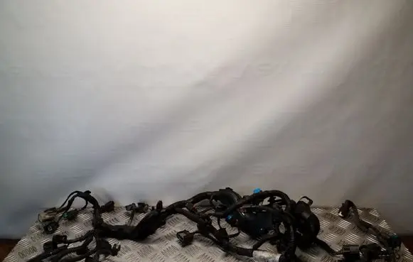 Ford Mondeo MK V Engine installation wiring loom DU5T12C508MM