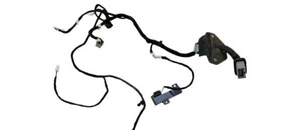 Dodge Charger Rear door wiring loom P68293059AB 059AB 16238DC