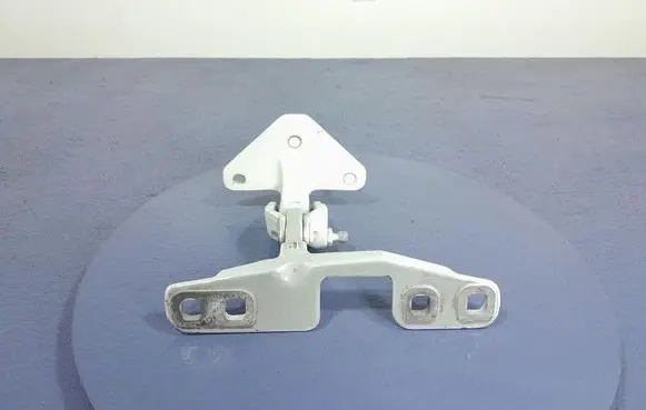 BMW X5 E53 Tailgate/trunk/boot hinge 7463530