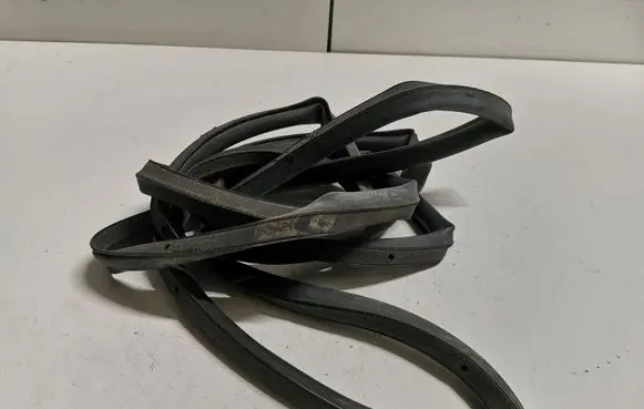 BMW 3 F30 F35 F31 Rubber seal front door (on door) 7306955 7258329