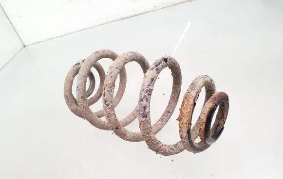Rear coil spring