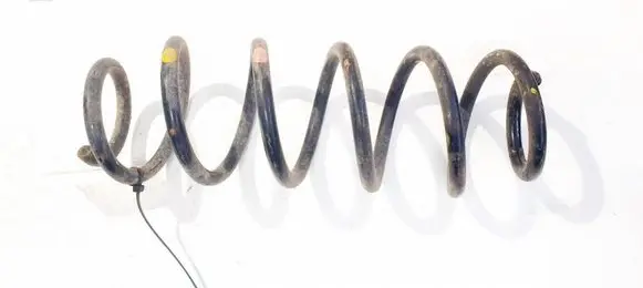 Rear coil spring