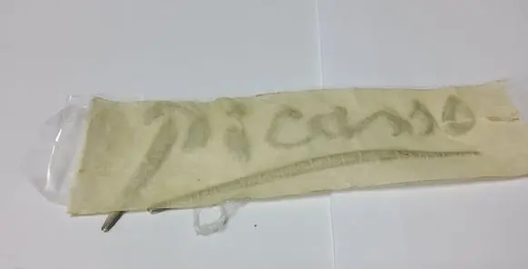 Citroen Xsara Picasso Other badges/marks 