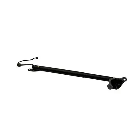 Tailgate/trunk strut/damper