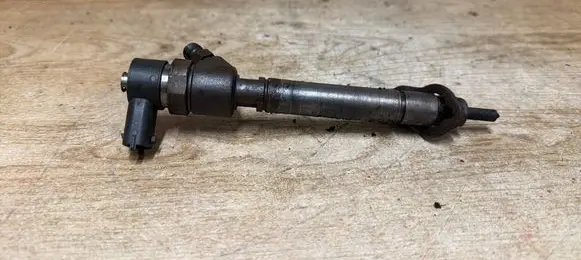 Volvo V70 Fuel injector 0445110251