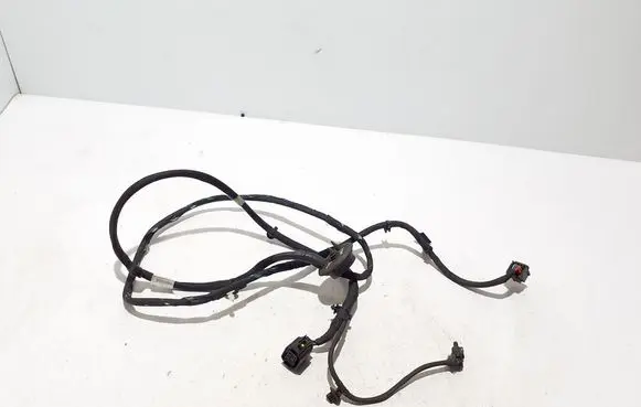 BMW 5 G30 G31 Other wiring loom 9824311