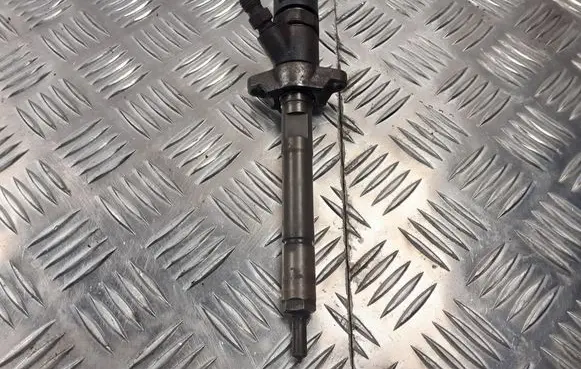 Ford Focus Fuel injector 0445110239