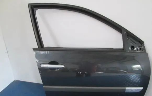 Renault Megane II Front door
