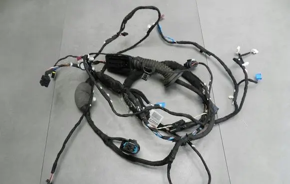 BMW 8 G15 Front door wiring loom 7928089