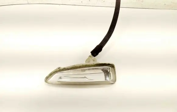 Front fender indicator light