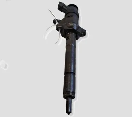 Citroen C4 Grand Picasso Fuel injector 0445110297