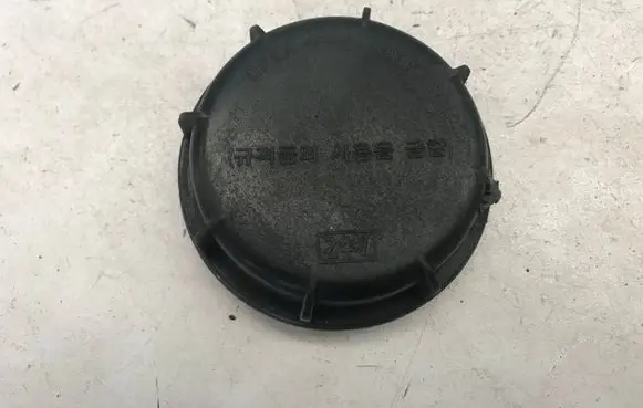 Hyundai Matrix Headlight/headlamp dust cover
