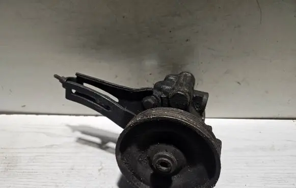 Renault 19 Power steering pump 7846075